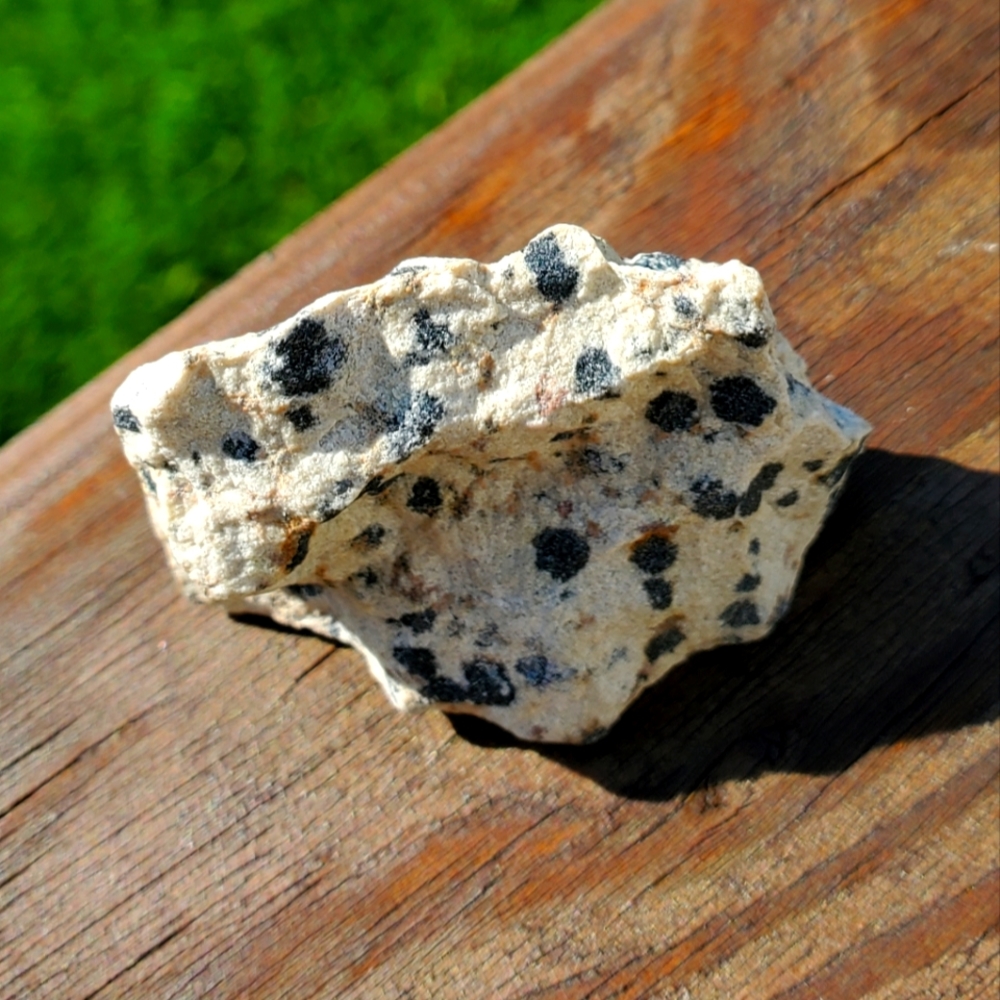 #4 Raw Dalmatian Jasper Gemstone